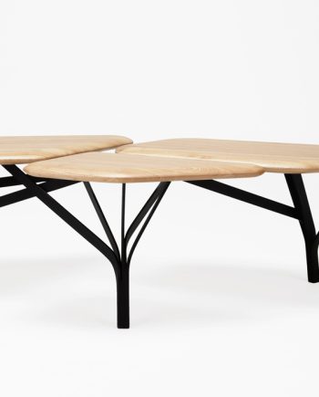BORGHESE table