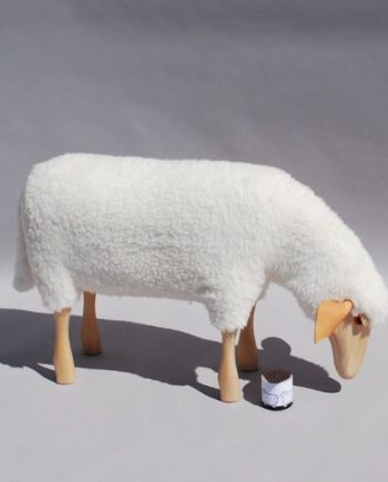 SHEEP GRAZING